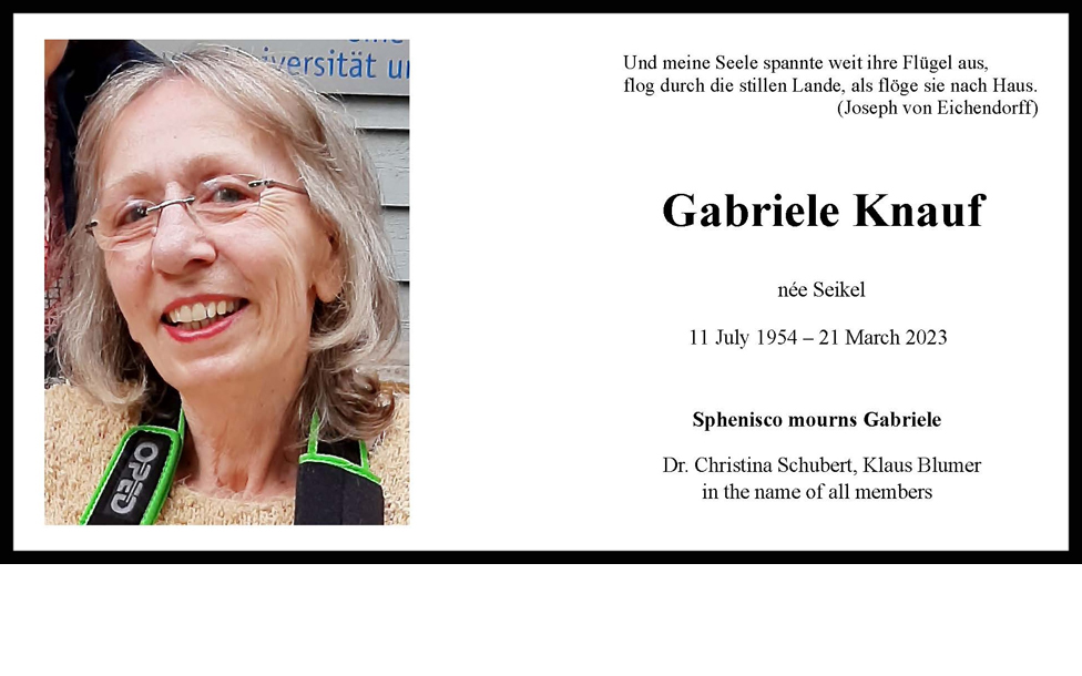 Sphenisco Mourns the Loss of Gabriele